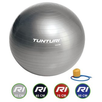 Tunturi Fitnessbal - Gymball - Swiss ball -  &Oslash; 55 cm - Inclusief pomp - Zilver