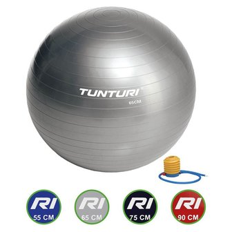Tunturi Fitnessbal - Gymball - Swiss ball - &Oslash; 65 cm - Inclusief pomp - Zilver