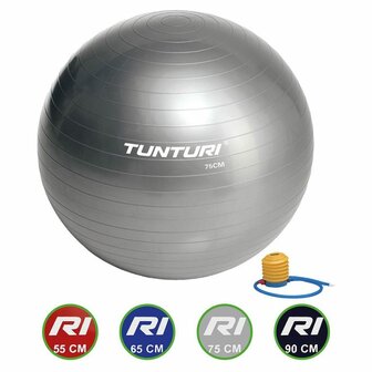 Tunturi Fitnessbal - Gymball - Swiss ball -  &Oslash; 75 cm - Inclusief pomp - Zilver