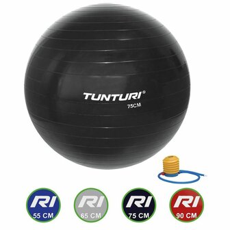Tunturi Fitnessbal - Gymball - Swiss ball - &Oslash; 75 cm - Inclusief pomp - Zwart