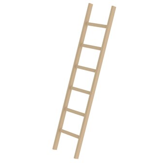 Houten enkele ladder - zonder stabilisatiebalk/werkhoogte 3 m/ladderlengte 1.92 m/aantal sporten 6/breedte ladder 420 mm