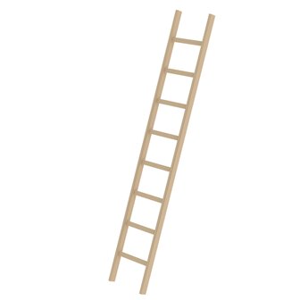 Houten enkele ladder - zonder stabilisatiebalk/werkhoogte 3.5 m/ladderlengte 2.48 m/aantal sporten 8/breedte ladder 420 mm