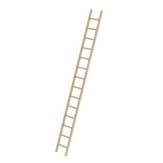 Houten enkele ladder - zonder stabilisatiebalk/werkhoogte 5.3 m/ladderlengte 4.16 m/aantal sporten 14/breedte ladder 420 mm