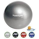Tunturi Fitnessbal - Gymball - Swiss ball - Ø 55 cm - Inclusief pomp - Zilver