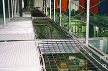 4835007-Netten voor transportbanden/draaddikte 4 mm/maaswijdte 50 mm/kleur: zwart