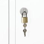 Hangslot 27-1005, Protaurus