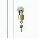 Hangslot 27-1005, Protaurus
