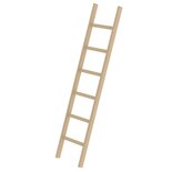 Houten enkele ladder - zonder stabilisatiebalk/werkhoogte 3 m/ladderlengte 1.92 m/aantal sporten 6/breedte ladder 420 mm